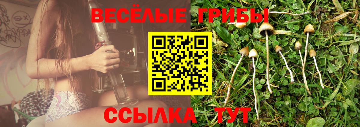 Галлюциногенные грибы Cubensis  Галлюциногенные грибы ЛСД  Вход с VPN  Орехово-Зуево 